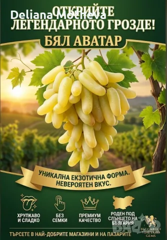 Бял Аватар, вкоренени пръчки!