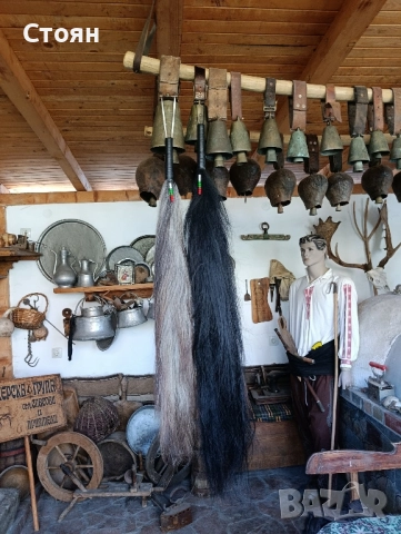 конски бичове 