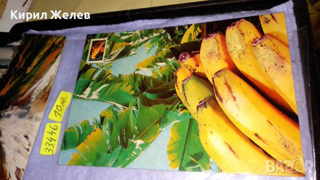 ЛОТ 4 КРАСИВИ СТАРИ ПОЩЕНСКИ КАРТИЧКИ ЕКЗОТИКА КУРОРТИ ЖИВОПИС 33446, снимка 2 - Филателия - 38777745