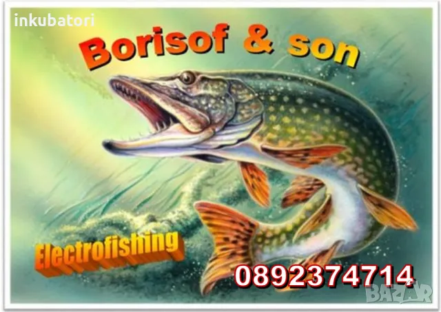 Електровъдица, снимка 1