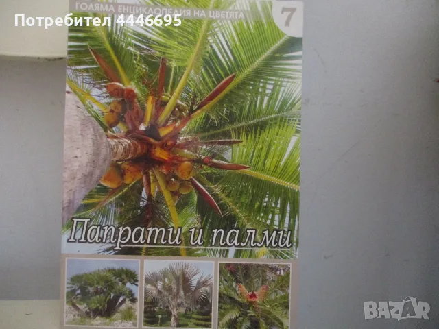 Папрати и палми - книга