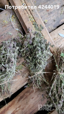 Чай, снимка 4 - Други - 52951120