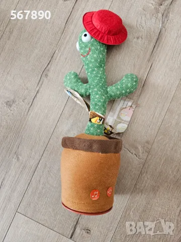 Музикален кактус, снимка 1