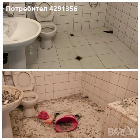 Почистване от гълъби Варна, снимка 5 - Други - 48879216