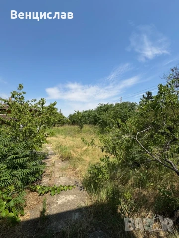 Продавам къща във с.Кутово, снимка 5 - Къщи - 51218955