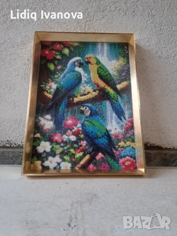 Диамантен гоблен папагали-готов и рамкиран, снимка 3 - Гоблени - 51016734