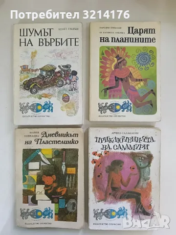 Приключенията на Саламури - Арчил Салакаури