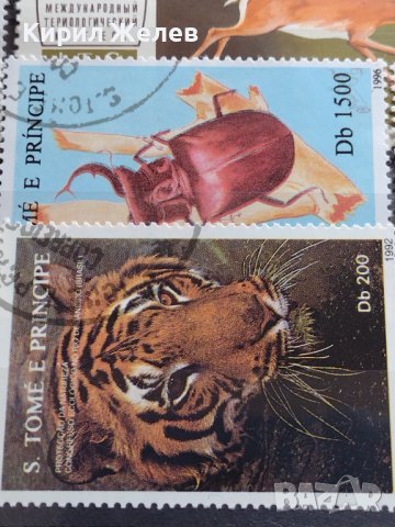 Пощенски марки смесени от цял свят ЖИВОТНИ за КОЛЕКЦИЯ 22615, снимка 9 - Филателия - 40344342