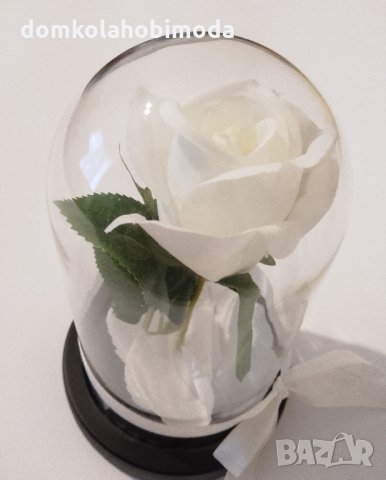 Изкуствена роза под стъклен похлупак, Дървена основа,Бяла, 17x11 см, снимка 4 - Други - 35761389