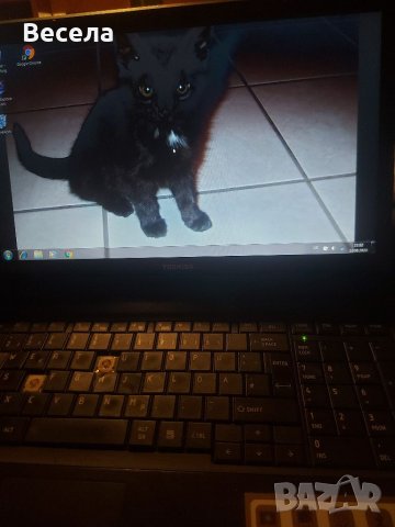 Toshiba Satellite C670d На части 