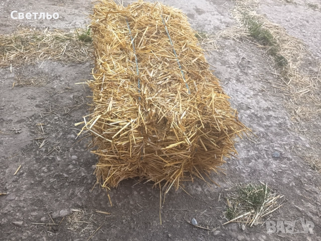 Ечимичена слама малки бали, снимка 2 - Овце - 53168329