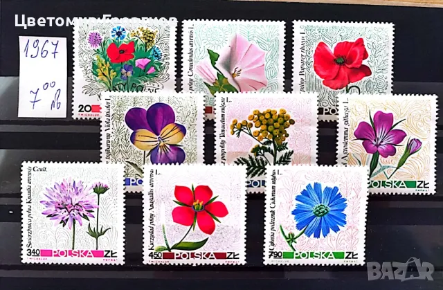 Пощенски марки/серий/. К.1, снимка 3 - Филателия - 47891823