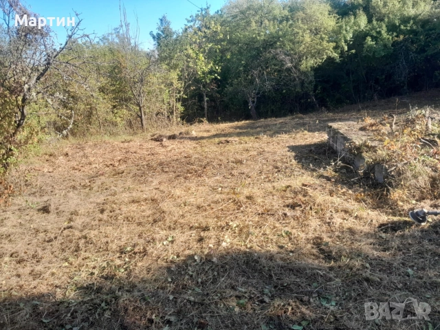 Почистване на дворове и терени, снимка 4 - Други почистващи услуги - 52914312