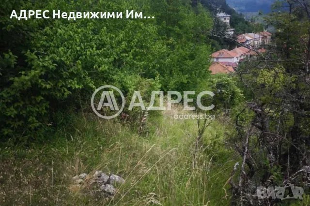 Парцел/Терен, продажба, Левочево, снимка 5 - Парцели - 55802880