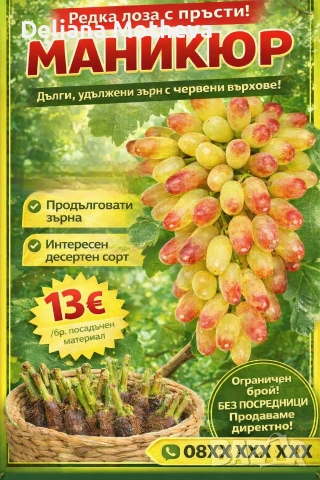 Десертен сорт " Маникюр"