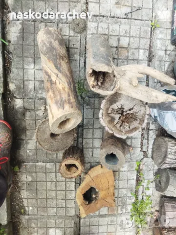 Пън, пънове, дънери с естествени дупки и без - за саксии, кашпи, декорация, снимка 11 - Саксии и кашпи - 27513634