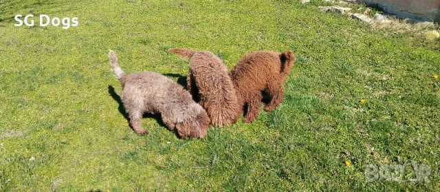 продавам лагото, снимка 12 - Други - 53779021