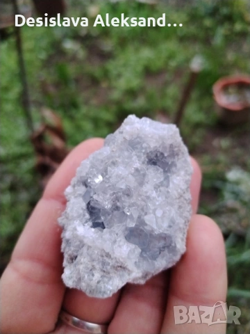 Целестин от Мадагаскар 