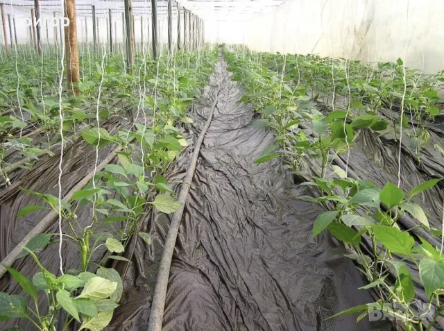 Мулч-Висококачествено найлоново фолио за мулчиране, снимка 2 - Други - 48902904