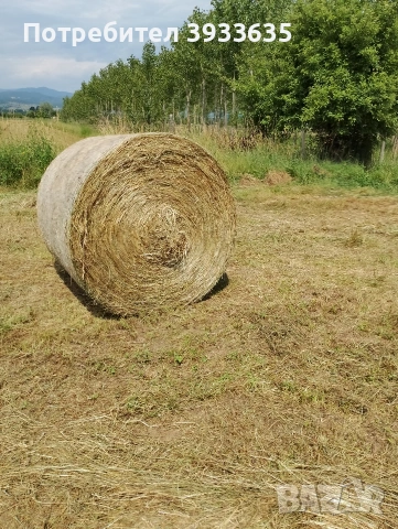 свободни Бали сяно мн добро дъжд не го е валяло, снимка 4 - За селскостопански - 53571322