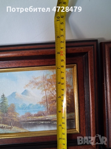 Картини маслени с красиви рамки и подпис на художника., снимка 7 - Декорация за дома - 53704932
