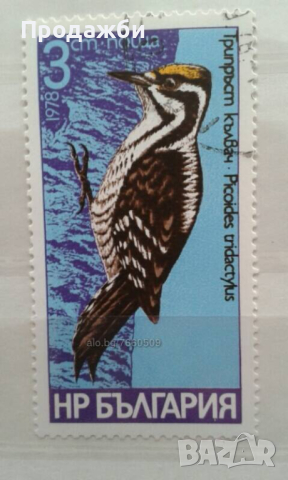 Красива колекция български пощенски марки с птици, снимка 2 - Филателия - 44804788