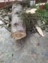 Чамов дървен материал , снимка 1 - Други - 44923808