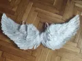 големи ангелски криле 82см, снимка 1