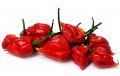 Семена от шестте най-лютите чушки на планетата : 1. Каролина Рийпър (Carolina Reaper) Средна лютивин, снимка 8