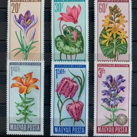 913. Унгария 1966 ~ “ Флора. Защитени видове цветя. “, **,MNH, снимка 1 - Филателия - 35919536