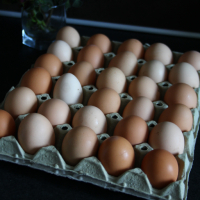 Домашни Яйца 15лв кора, снимка 11 - други­ - 36397255