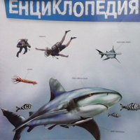 Детска енциклопедия. Том 6: Акулите, снимка 1 - Детски книжки - 41957227