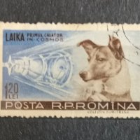 1957 Румъния Лайка, снимка 1 - Филателия - 41820149
