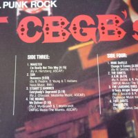 грамофонни плочи Original Punk Rock - live from the CBGB's club, NY, снимка 4 - Грамофонни плочи - 34787698