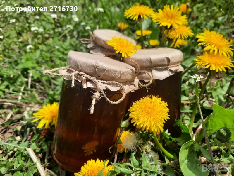 Домашен мед от глухарчета - ценен източник на здраве, снимка 1