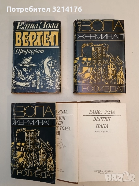 Вертеп - Емил Зола, снимка 1