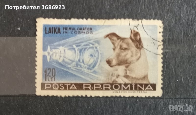 1957 Румъния Лайка, снимка 1