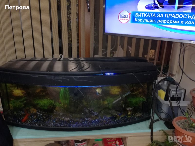 Голям аквариум 200 литра с рибки и оборудване, снимка 1