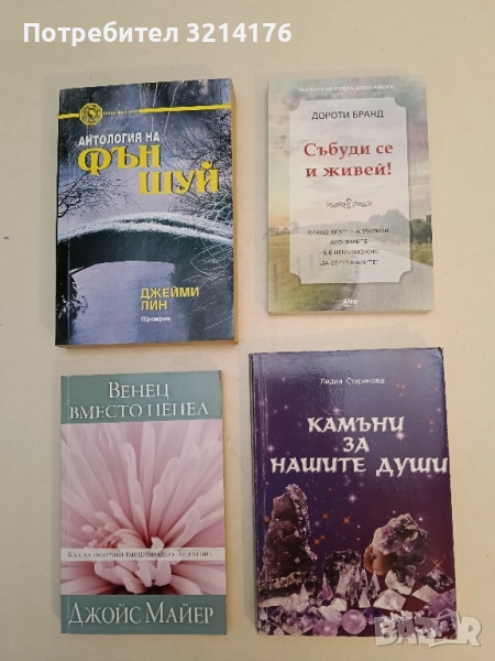 НОВА! Събуди се и живей! - Дороти Бранд, снимка 1