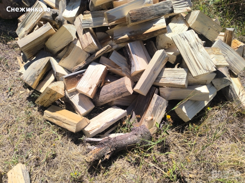 Продавам чамови пънчета за подпалки, снимка 1