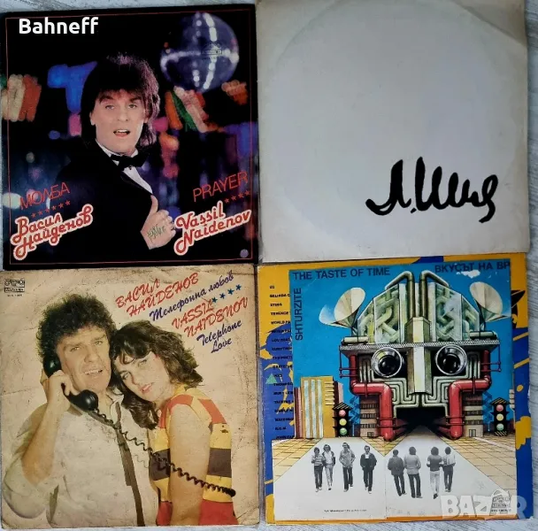 Балкантон плочи Васил Найденов, Щурците , снимка 1