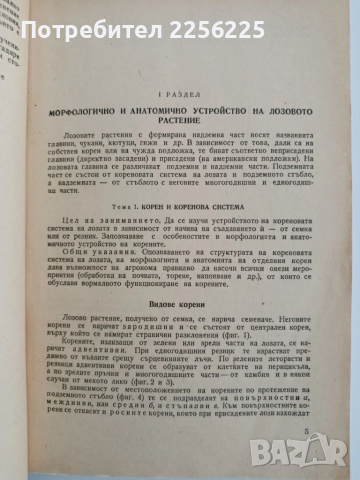 "Ръководство за практически занимания по лозарство 1964г", снимка 2 - Специализирана литература - 52295562