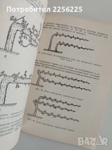 Декоративно овощарство, снимка 3 - Специализирана литература - 52920689