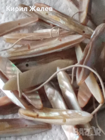 Дамска гривна кралски седеф 52713, снимка 6 - Гривни - 52866671