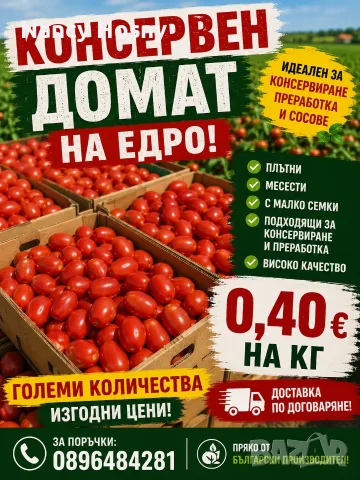 Консервен домат на най-добра цена !