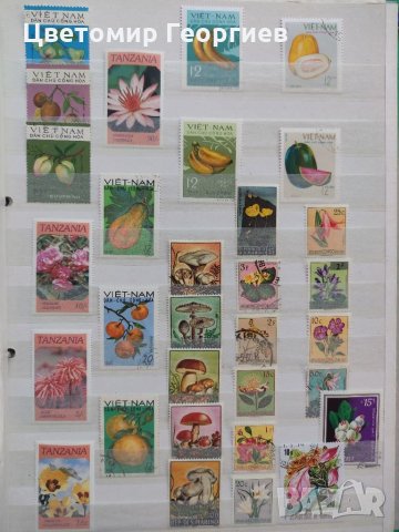 Пощенски марки гъби цветя 129 бр., снимка 2 - Филателия - 33886102