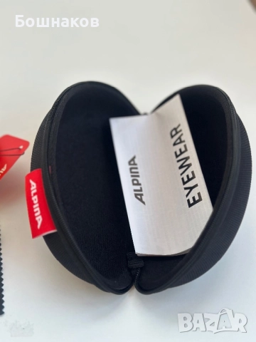 ALPINA 5W1NG Q+CM, снимка 4 - Слънчеви и диоптрични очила - 51649269