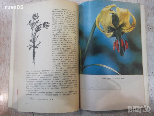 Книга "Красота и куриози в раст.свят-А.Железаров" - 120 стр., снимка 6 - Специализирана литература - 36321699