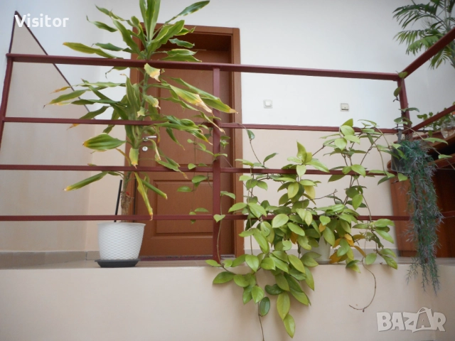 Nikon Coolpix S3600   20.1 МРх, снимка 15 - Фотоапарати - 52836092