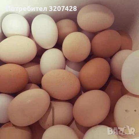 Домашни пресни яйца от щастливи кокошки Цена -15лв/30бр - 0.50 лв/1бр, снимка 1